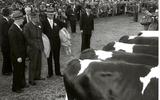 Koninklijk bezoek: prins Bernhard op de veemarkt in 1954.