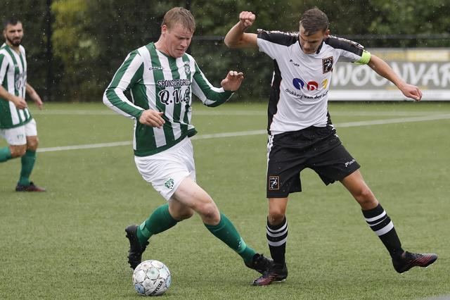 Arum scoort snel, maar hoe?