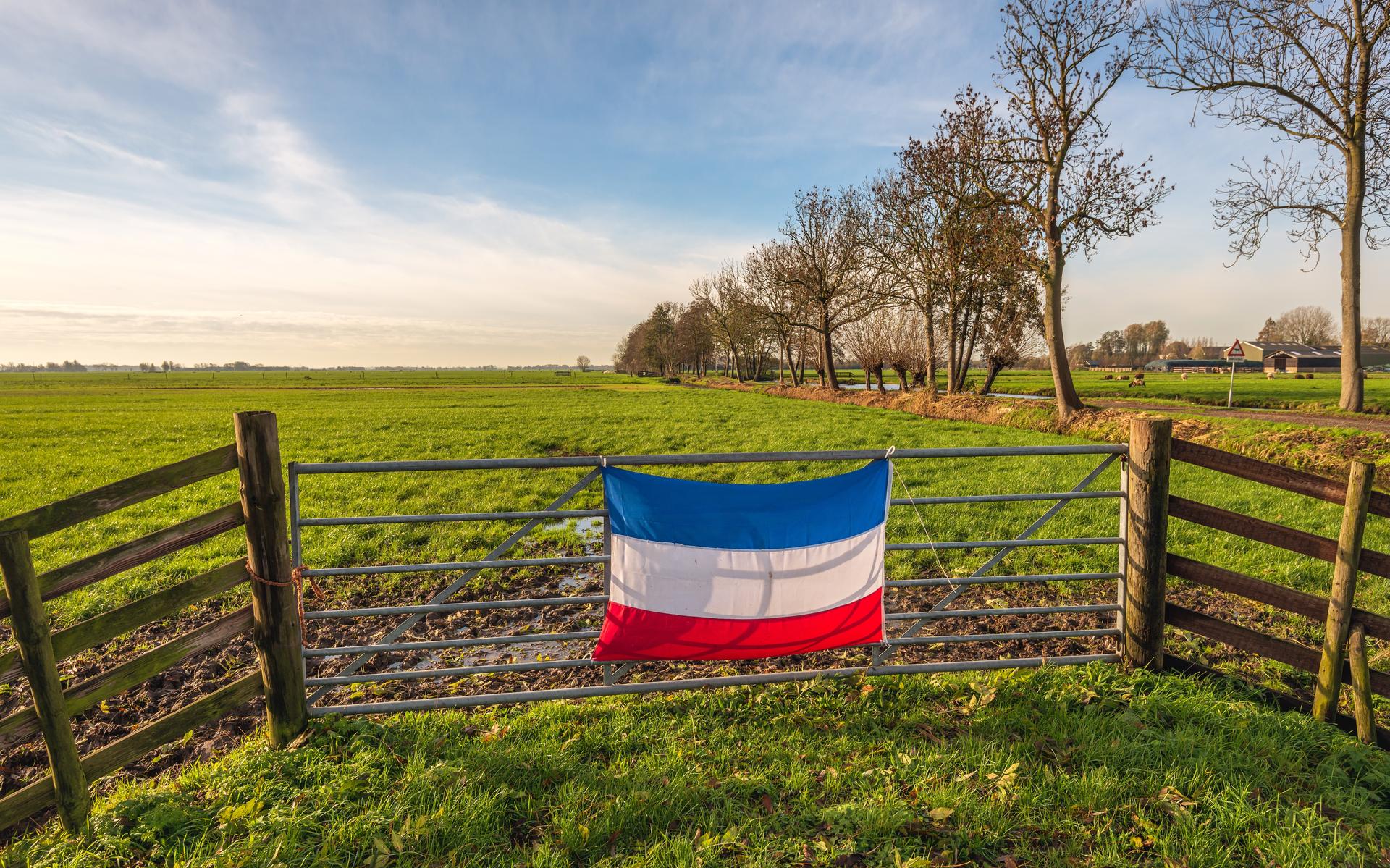 Foto: Shutterstock