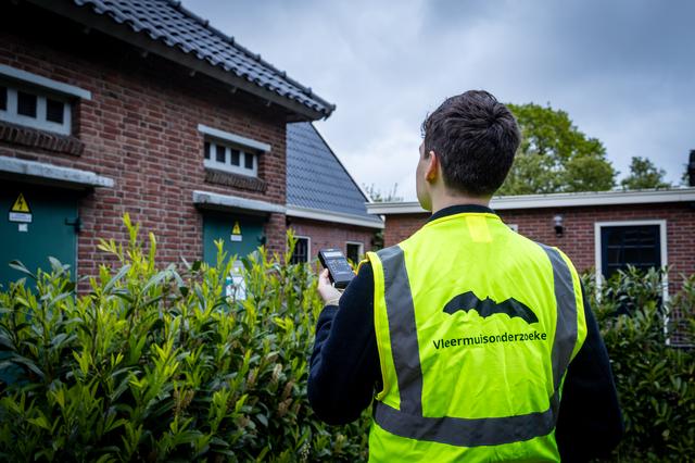 Ecologen ’s nachts op pad in Achtkarspelen voor vleermuisonderzoek
