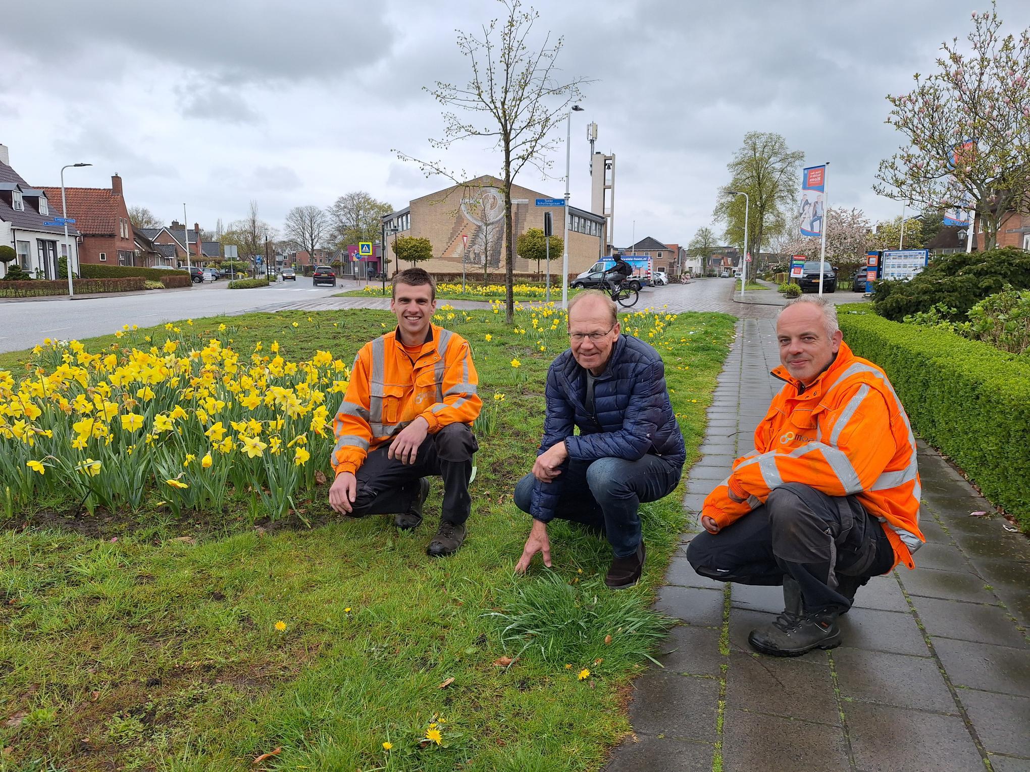 Surhuisterveen bestaat 450 jaar: vereniging Spavo zet dorp in de narcissen