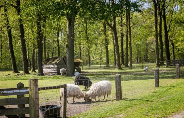 Openluchtvoorstelling De Fulkaan in Bakkeveen door 95-jarige vereniging Nij Bigjin
