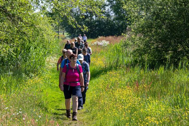 Zestiende editie 3 Provinciën Wandeltocht vanuit Bakkeveen