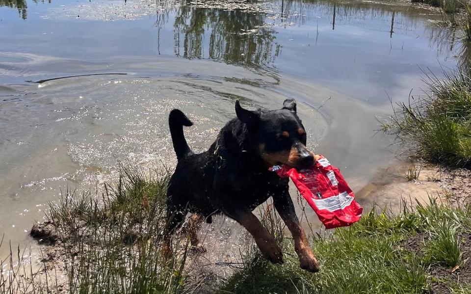 Max 'aan het werk'.