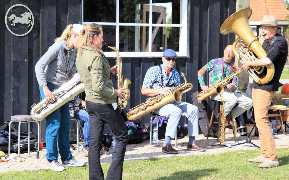 Musici in actie tijdens een eerdere editie van het Swanneblomfestival.